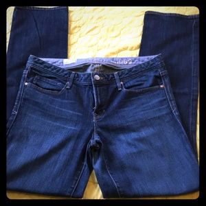 Gap 1969 Real Straight Denim size 12
